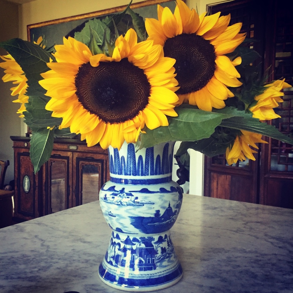 Meet your Posher, Deborah